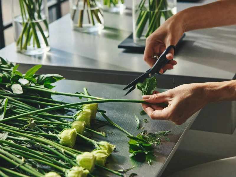 Hænder klipper stilke med blomstersaks på et arbejdsbord med grønt